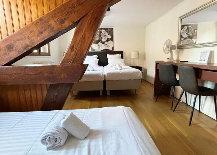 Le Divona Au Coeur De Hotel Divonne-les-Bains